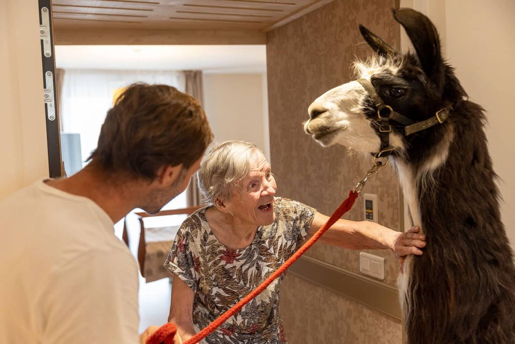résidente caresse un lama dans couloir