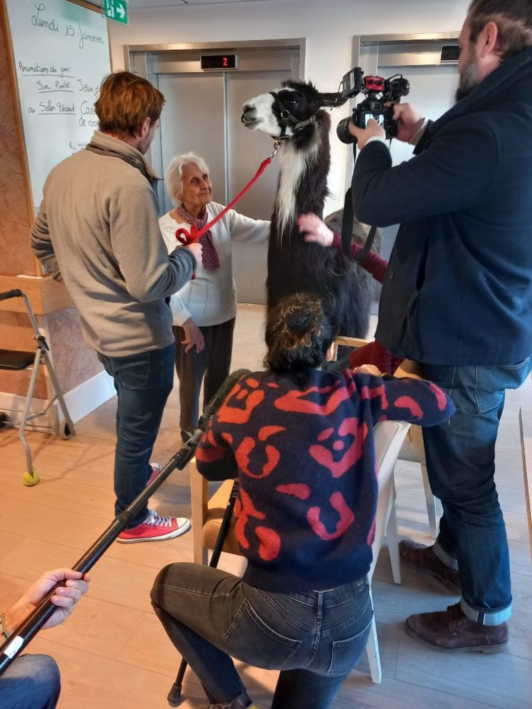 Une équipe de tournage France 2, filme une résidente et Jules le Lama